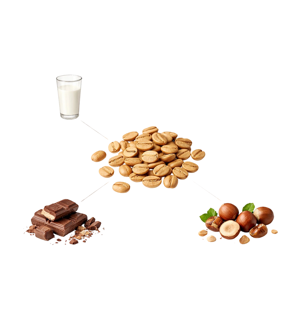 French Coffee - Hazelnut