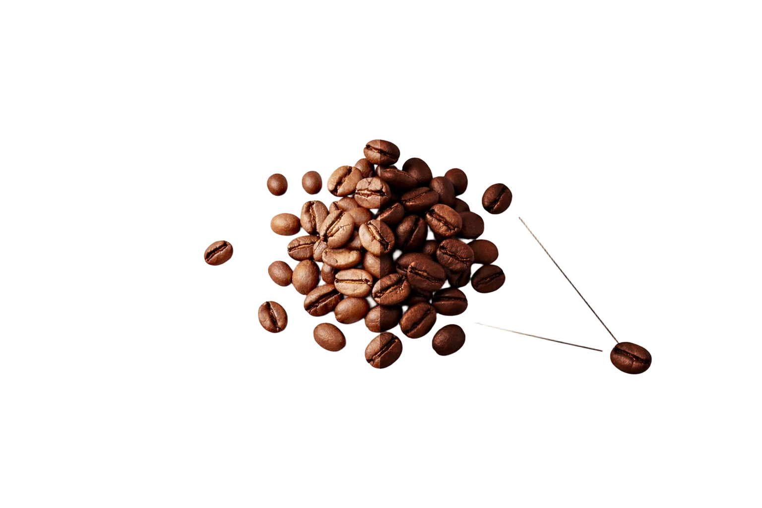 Turkish Coffee - Medium Roast Cardamom Free