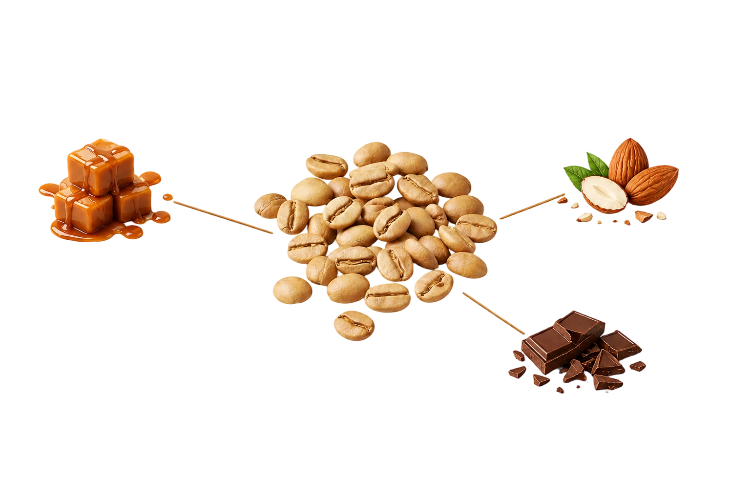 Signature Espresso